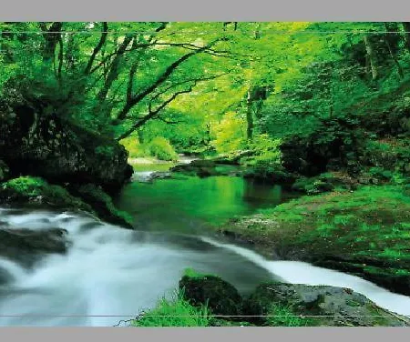 El Bosque Encantado Gæstehus 3*