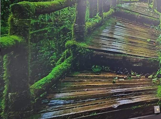 El Bosque Encantado 招待所 3*