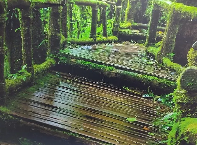 El Bosque Encantado 3* 托萊多