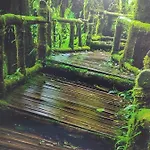El Bosque Encantado 3* Toledo