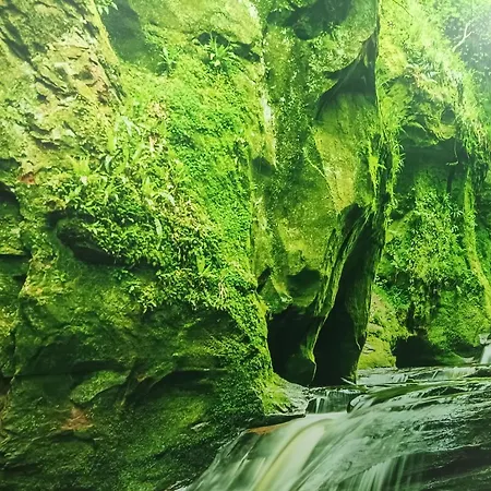 El Bosque Encantado Konukevi Toledo