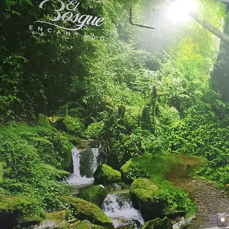 El Bosque Encantado ゲストハウス