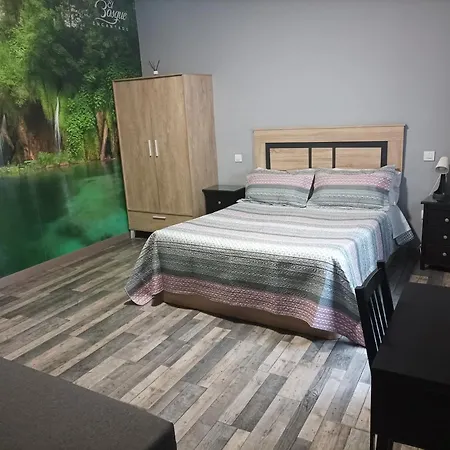 ゲストハウス El Bosque Encantado