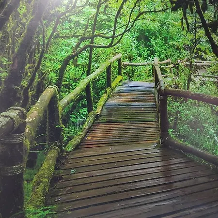 El Bosque Encantado Pensión *