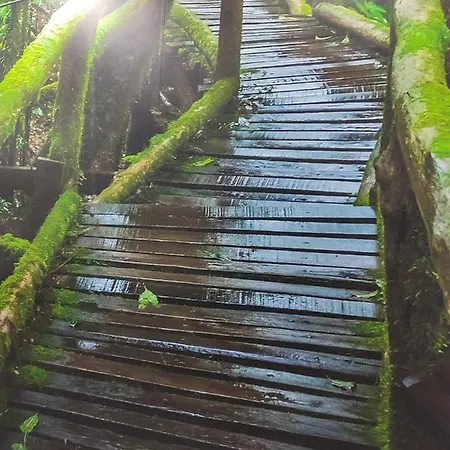 ゲストハウス El Bosque Encantado トレド