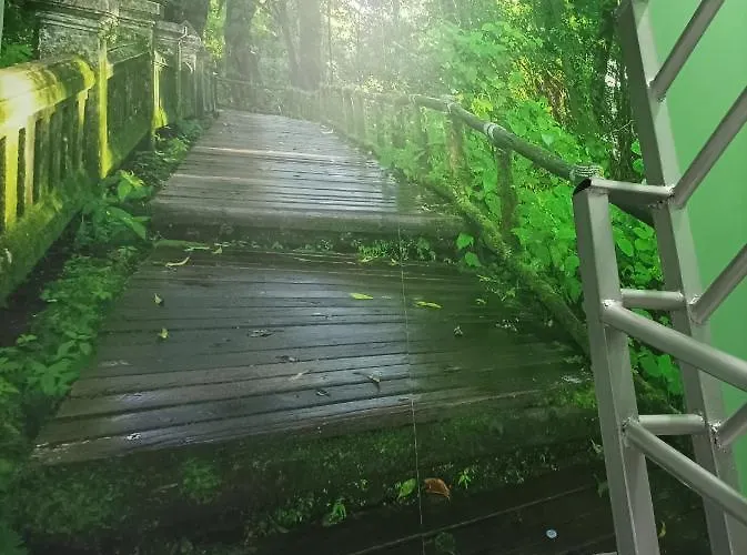 El Bosque Encantado トレド