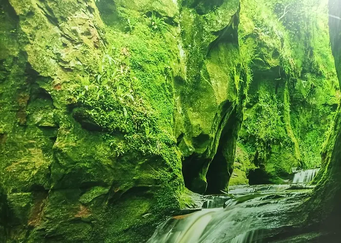 El Bosque Encantado Vendégház Toledo