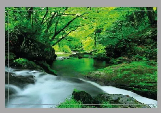 El Bosque Encantado Guest house 3*