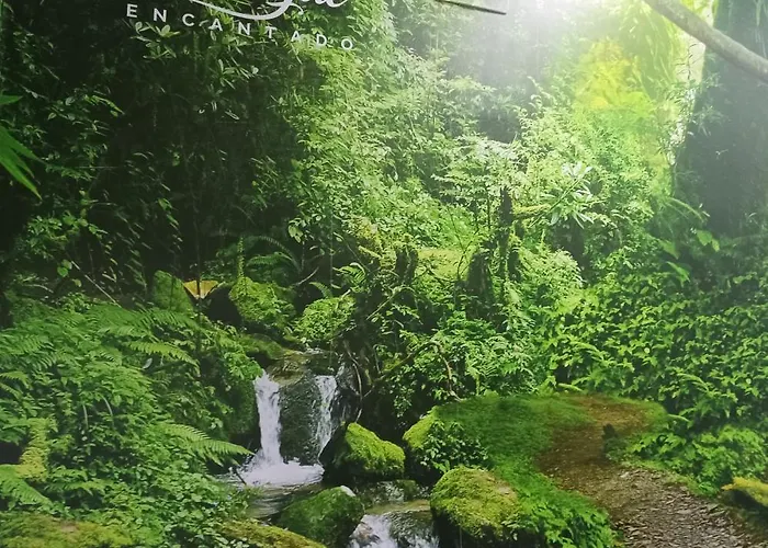 El Bosque Encantado ゲストハウス