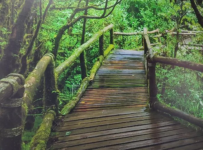 El Bosque Encantado Guest house 3*