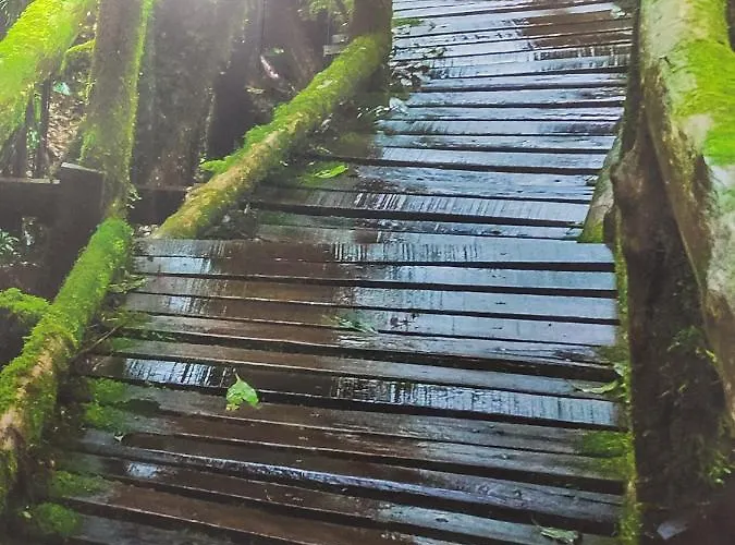 ゲストハウス El Bosque Encantado トレド